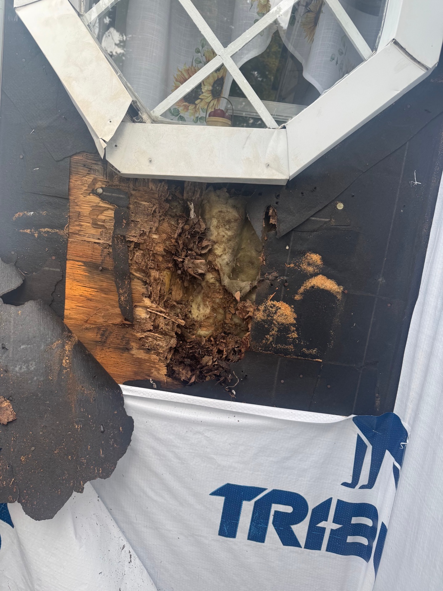 Before — comparison 2