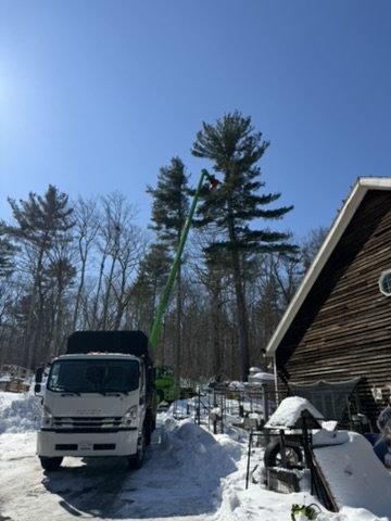 Ice Dam & Snow Removal project example