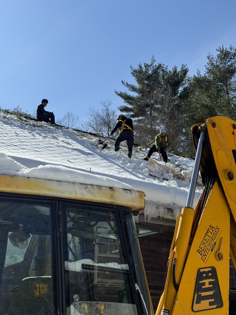 Ice Dam & Snow Removal project detail